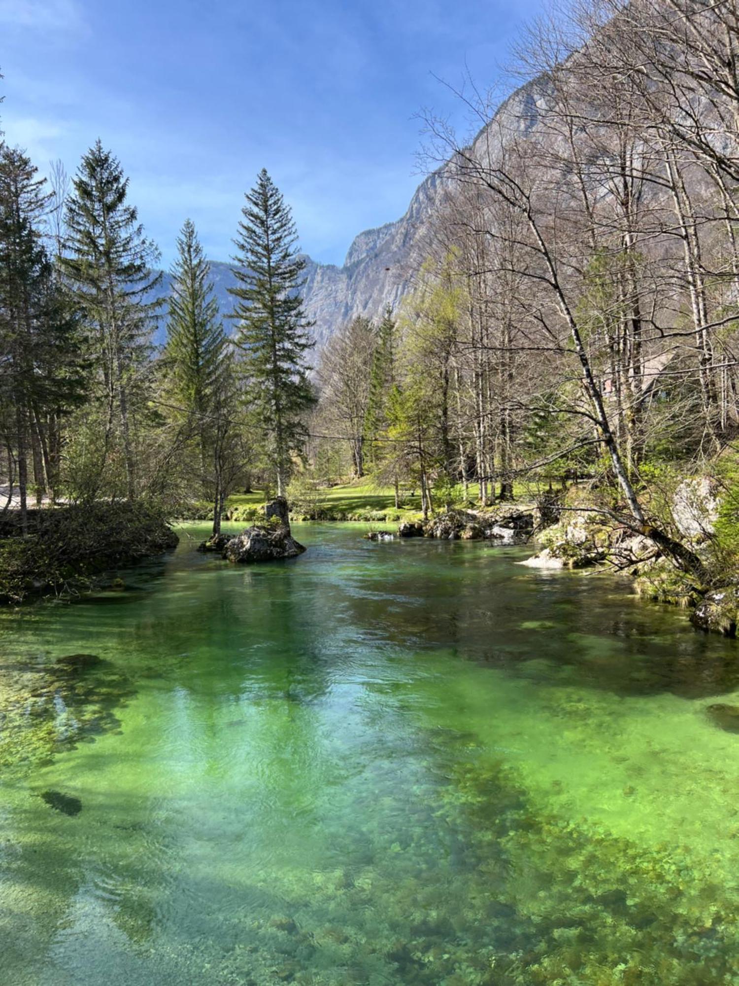 Alice Chalet Bled - Adults Only Екстер'єр фото